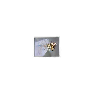 Giá tốt. FG050722DSSWDGL2 640*480 5,7 inch 20 pin LCD Screen trực tuyến