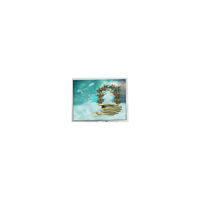 Giá tốt. TFT1N5918 6,9 inch 800 * 480 màn hình LCD LVDS trực tuyến