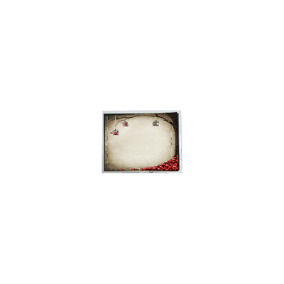 Giá tốt. TFT9D6672 6,9 inch 800 * 480 600: 1 bộ phận mô-đun màn hình LCD trực tuyến
