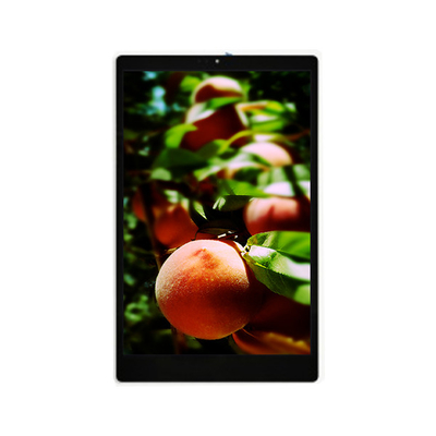 Giá tốt. Màn hình LCD mới 800*1280 TV101WXU-N91 10,1 inch trực tuyến