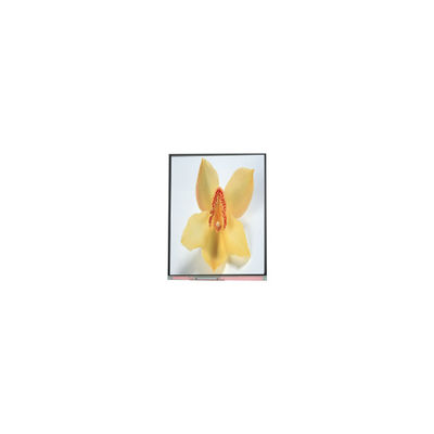 Giá tốt. C050SWAN-0 5.0 inch 720 * 1280 màn hình LCD trực tuyến