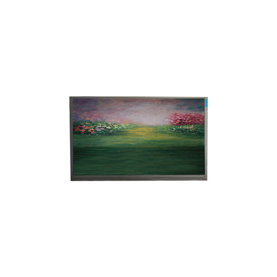 Giá tốt. Màn hình LCD cho 13.3 inch R133NWF4 RB LCD Module trực tuyến