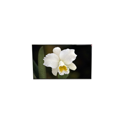 Giá tốt. Màn hình LCD TFT 12,5 inch LP125WF4-SPQ1 gốc trực tuyến