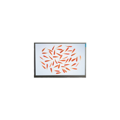 Giá tốt. C116NWR4-0 11.6 inch 1366 * 768 IPS màn hình LCD trực tuyến