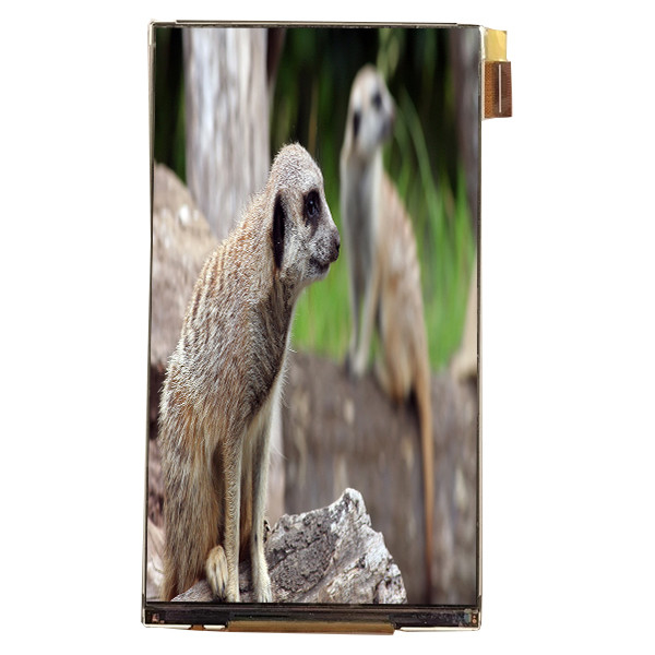 LQ055K3SX02 5.5 inch LCD Module Interface 720 * 1280 màn hình LCD cho màn hình xe hơi