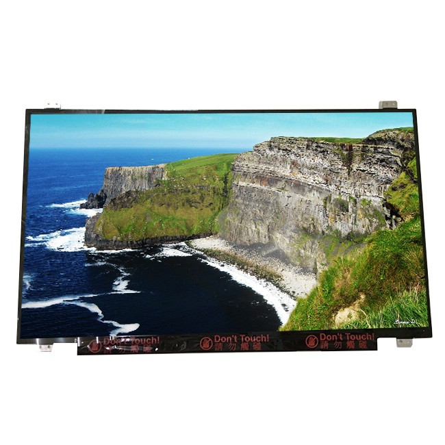 Kích thước 17,3 inch B173RTN02.1 30 pin Màn hình LCD TFT cho máy tính xách tay