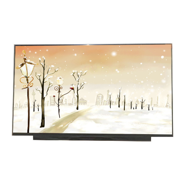 Màn hình LCD mới 17,3 inch B173HAN04.0 1920 * 1080 127PPI cho AUO