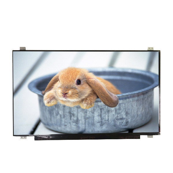 Cung cấp B173HAN01.4 kích thước 17,3 inch Matte Hard lớp phủ màn hình LCD