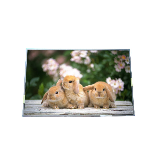 Đồ gốc có sẵn kích thước 17,3 inch B170PW05 V1 màn hình LCD