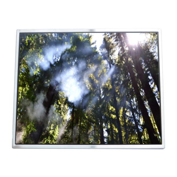 LTM190M2-L01 màn hình LCD 19.0 inch Màn hình LVDS 30pin module kết nối LCD