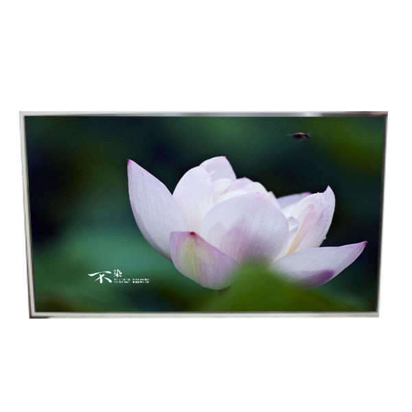 LD490EQG-FPA3 49.0 Inch 3840 * 2160 Phân tích màn hình LCD cho biển báo kỹ thuật số