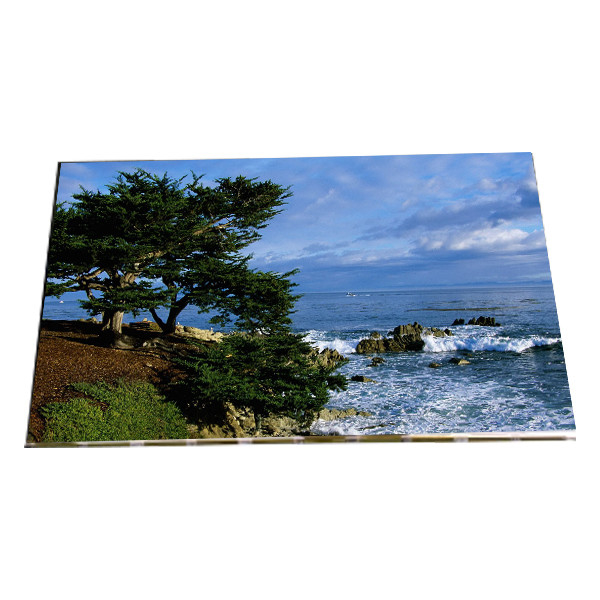 LM240WU3-TLA1 24,0 inch 1920 * 1200 LCD Panel Module cho màn hình máy tính để bàn