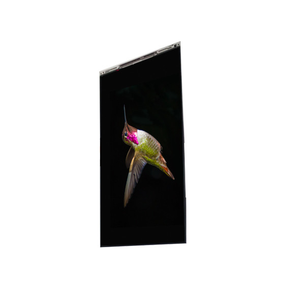 BS062FBE-L30-6Q00 6.3 inch màn hình LCD màn hình LCD