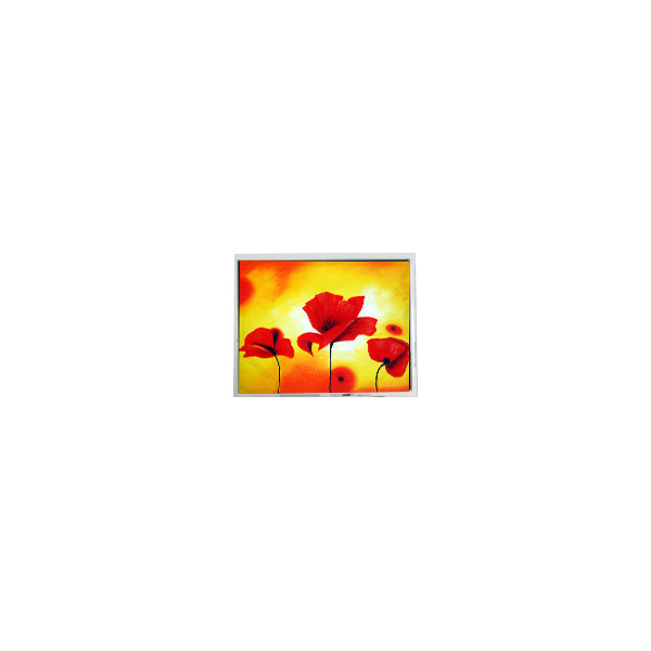 T-55629D065J-LW-A-AAN 6.5 inch 640*480 LVDS màn hình LCD