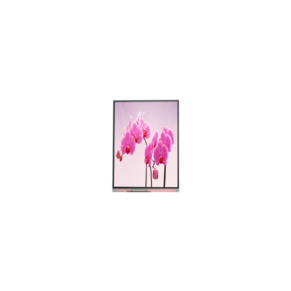 C060SWR5-1 6.0 inch 720 * 1440 màn hình LCD màn hình hiển thị Panel cho điện thoại di động