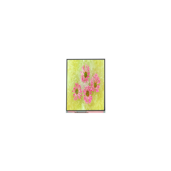 C070GWT4-0 7.0 inch 1024 * 600 màn hình LCD Panel cho màn hình ô tô