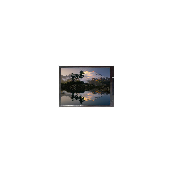 F050A19-6T1 5,0 inch 720 * 1280 màn hình hiển thị LCD cho điện thoại di động
