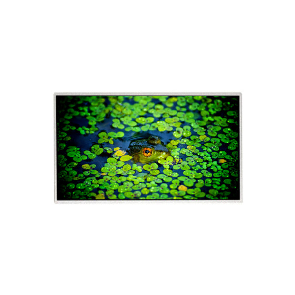 HR236WU3-301 Màn hình LCD 1920*1080 23,6 inch