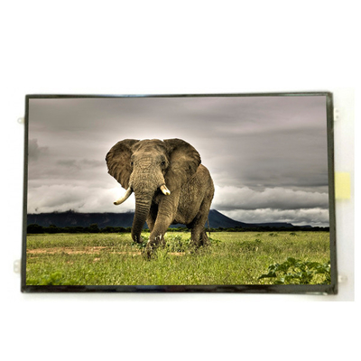 Giá tốt. B101UAN01.9 10.1 inch 16.7M 52%NTSC màn hình LCD trực tuyến