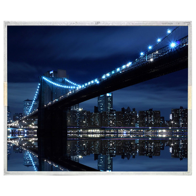 Giá tốt. LB209F1-A1DM 20,9 inch 2048 * 2560 LCD Screen Module trực tuyến
