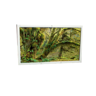 Giá tốt. Màn hình màn hình LCD mới A101EW01 V0 10,1 inch 1280 * 800 trực tuyến