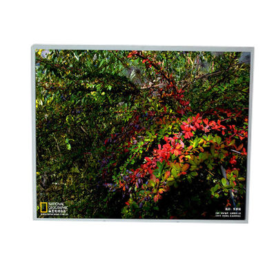 Giá tốt. LM201U1-A3 20,1 inch 1600 * 1200 LCD màn hình bảng điều khiển trực tuyến