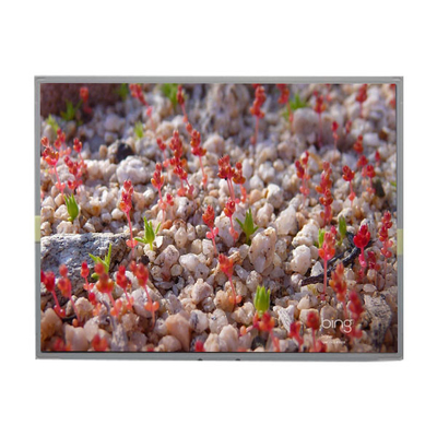 Giá tốt. LM2011-SLWE01 Màn hình hiển thị LCD gốc 20,1 inch 1680 * 1050 trực tuyến