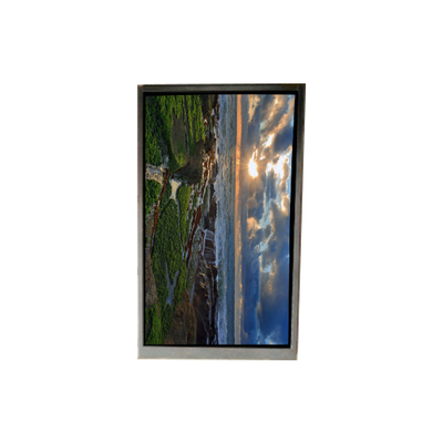 Giá tốt. BS053HDG-N50-6200 5.2 inch màn hình LCD LCD màn hình LCD trực tuyến