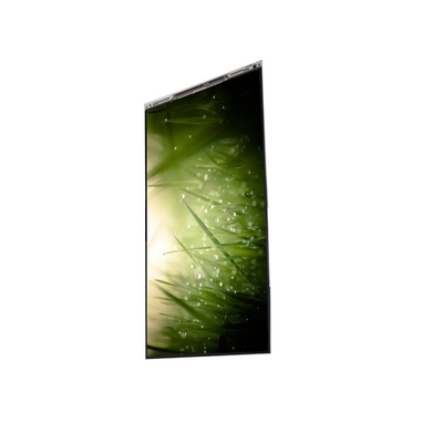Giá tốt. BS055FHG-E41-6C00 5,5 inch màn hình LCD màn hình LCD trực tuyến