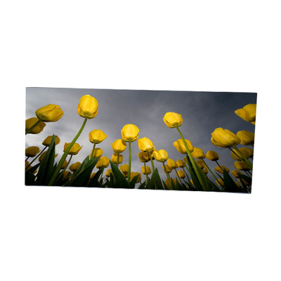 Giá tốt. LM340WW2-SSD1 34,0 inch 2560*1080 màn hình LCD trực tuyến