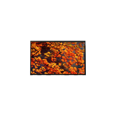 Giá tốt. LP133WX1-TLB2 màn hình LCD 13.3 inch 1280 * 800 LCD Screen Module trực tuyến