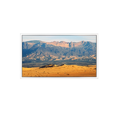 Giá tốt. Màn hình LCD 49 inch 3840*2160 DV490QUB-N8A cho biển báo kỹ thuật số trực tuyến
