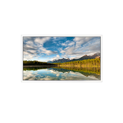 Giá tốt. Màn hình LCD 55 inch DV550FHB-N30 1920*1080 cho màn hình minh bạch trực tuyến