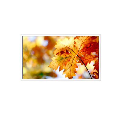 Giá tốt. EV238FHM-N12 23.8 inch 1920 * 1080 màn hình LCD trực tuyến