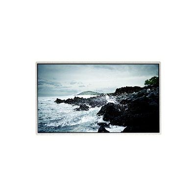Giá tốt. 1366 * 768 HF236WHB-F20 Bảng hiển thị màn hình LCD 23,6 inch trực tuyến