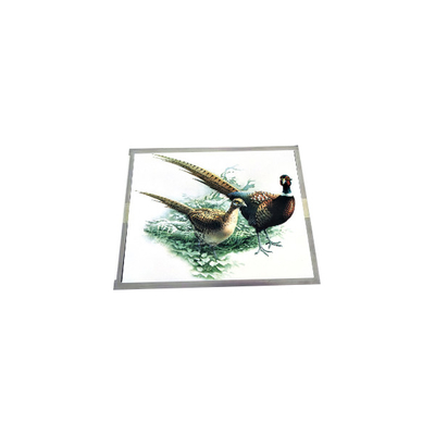 Giá tốt. Bảng điều khiển màn hình TFT-LCD 15,0 inch LQ150X1DG11B trực tuyến