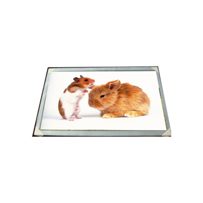 Giá tốt. LM170E03-TLG6 17.0 inch 16.7M LCD Panel Module trực tuyến