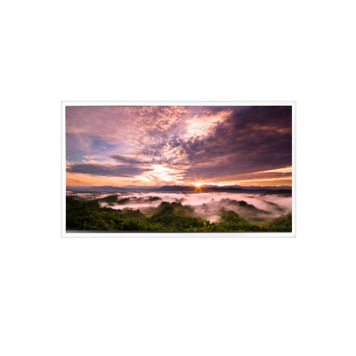 Giá tốt. 18.5 inch QV185FHM-N80 1920 * 1080 LCD Panel cho công nghiệp trực tuyến