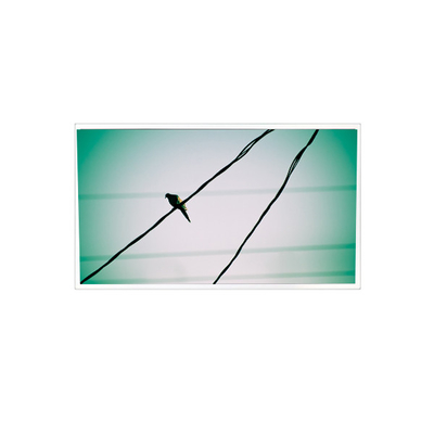 Giá tốt. TDA104-001V01 10,4 inch 1024 * 768 1000:1 LVDS màn hình LCD cho công nghiệp trực tuyến