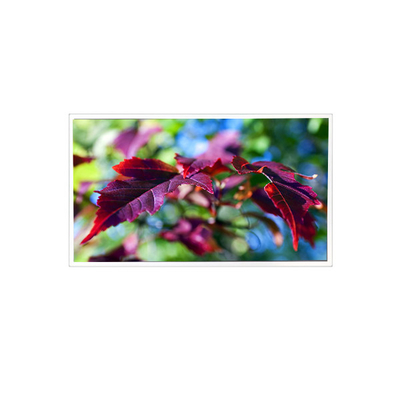Giá tốt. TV116FHM-N00 1920*1080 11.6 inch 60Hz 40 pin màn hình màn hình LCD trực tuyến