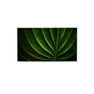 Giá tốt. TAD201-001 20,1 inch 1600*1200 450 cd/m2 màn hình LCD 60Hz cho công nghiệp trực tuyến