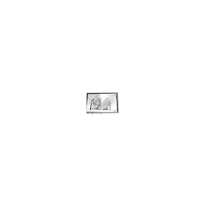 Giá tốt. 8.8 inch 768*768 TPA088-001V02 16.7M 71% NTSC LCD Panel cho công nghiệp trực tuyến