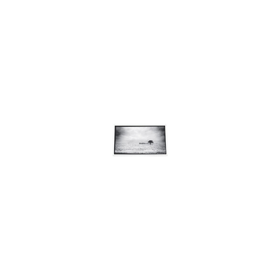 Giá tốt. Màn hình LCD 640*480 3,5 inch PD035VX1 262K cho Máy chiếu trực tuyến