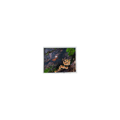 Giá tốt. 5.7 inch PD057VU8 640 * 480 màn hình LCD 60Hz cho công nghiệp trực tuyến