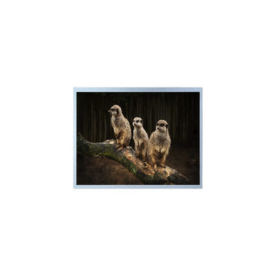 Giá tốt. PD121XL2 1024 * 768 Màn hình LCD 12,1 inch cho ánh sáng cao ngoài trời trực tuyến
