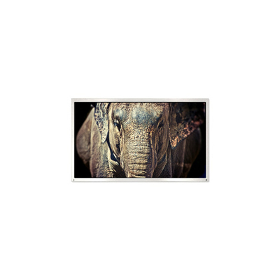 Giá tốt. PE040QX1 MiNi 4.0 inch 320 * 240 1000: 1 30 pin LCD Screen Panel trực tuyến