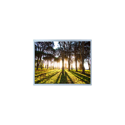 Giá tốt. bán nóng 800*480 PM100WX2 10,0 inch màn hình LCD cho công nghiệp trực tuyến