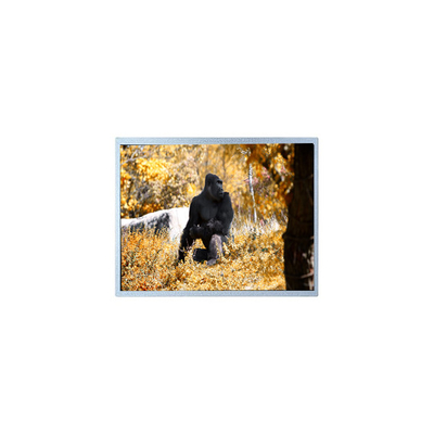 Giá tốt. Ban đầu 7.0 inch 800 * 480 PW070WX2 màn hình LCD trực tuyến