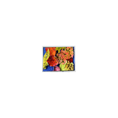 Giá tốt. 800*600 AM-80060K3TMQW-02H 10.4 inch LVDS màn hình LCD trực tuyến