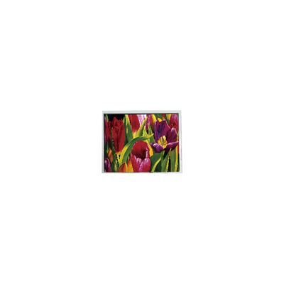 Giá tốt. Bảng điều khiển LCD WLED AM-800480LATMQW-TN0H-L 800 * 480 5.0 inch 3S6P trực tuyến